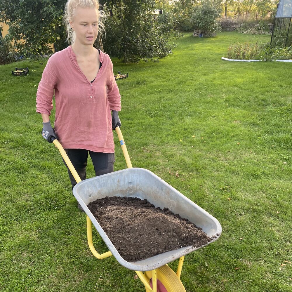 Laura kører en trillebør med jord over græsplænen
